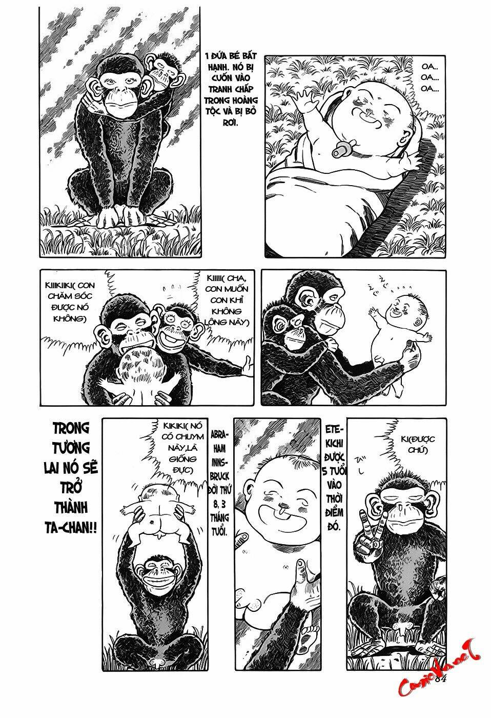 chúa rừng ta-chan chapter 11 3