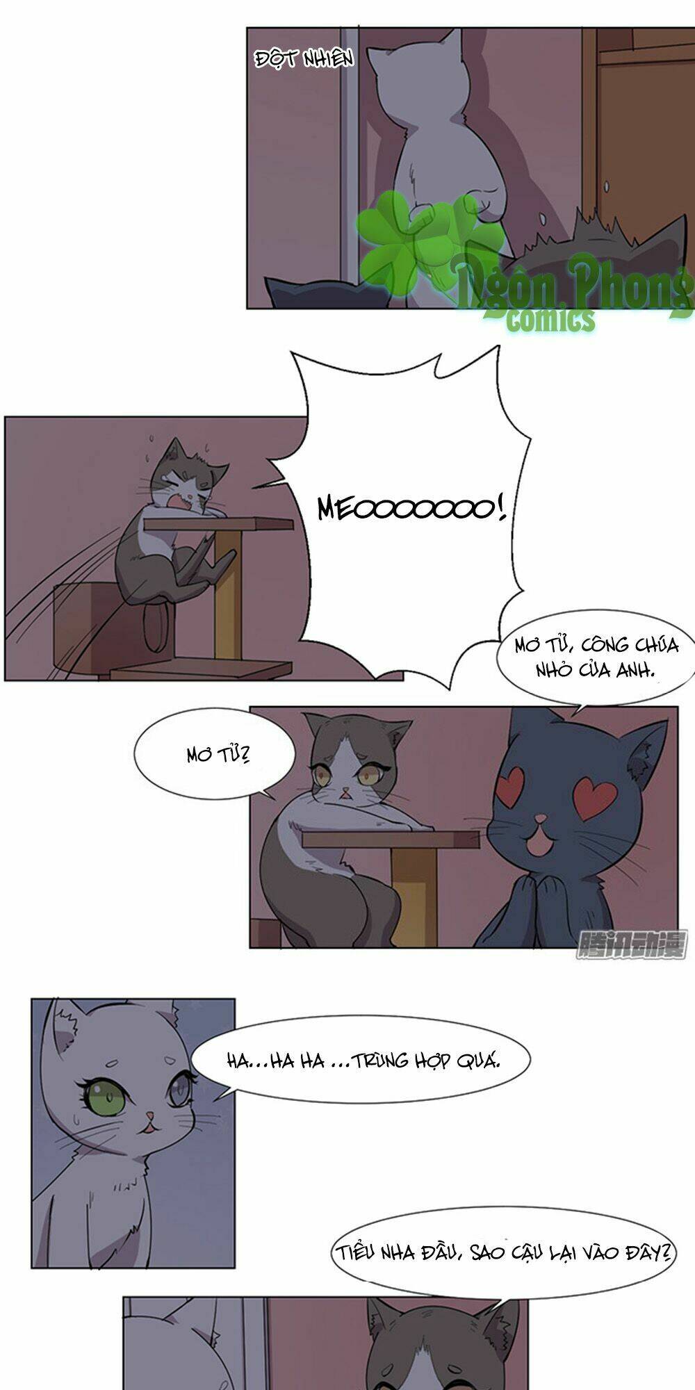 hai chú mèo totem chapter 33 6