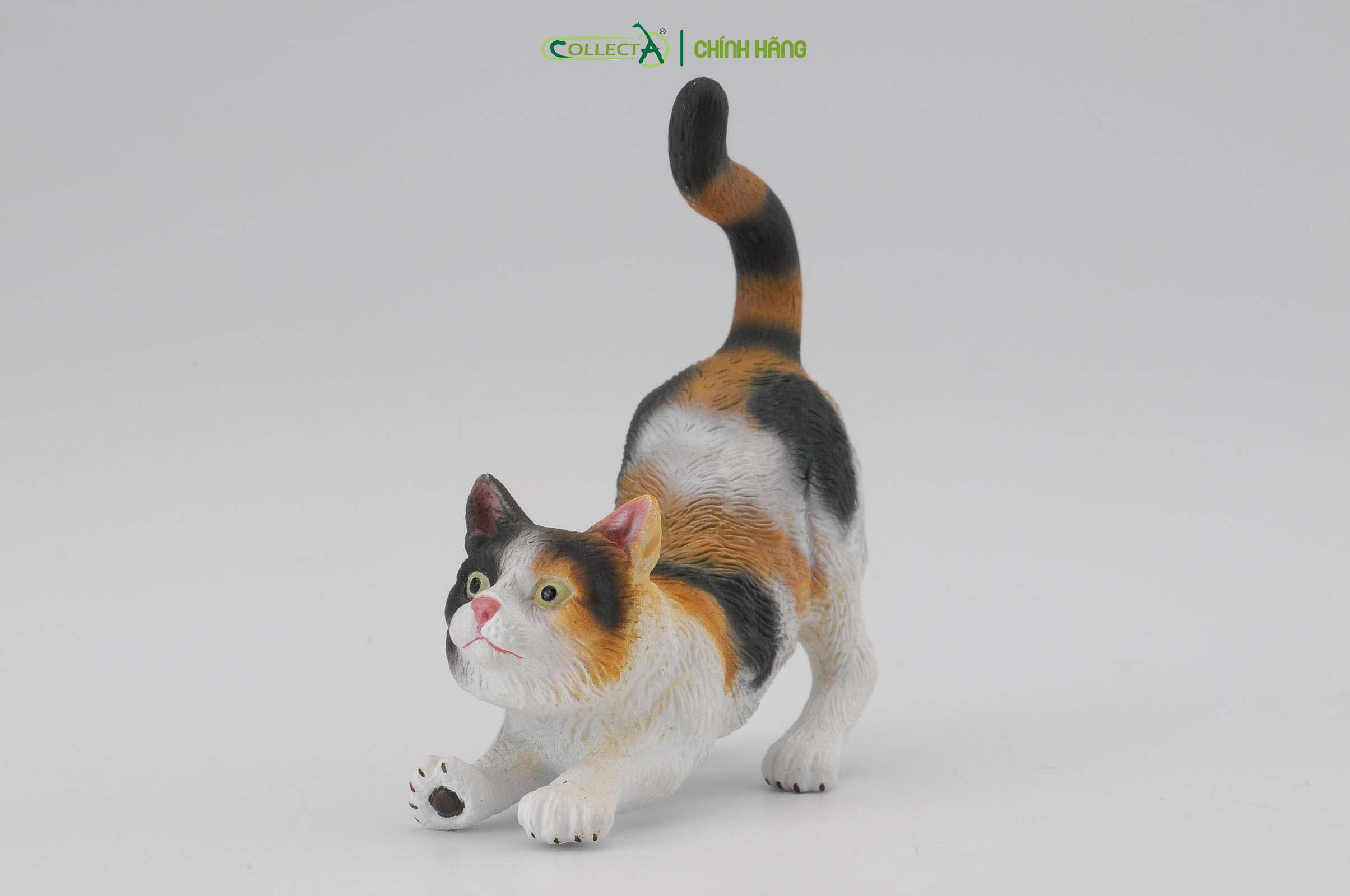 Mô hình thu nhỏ: Mèo tam thể - 3-Colour House Cat - Stretching, hiệu: CollectA, mã HS 9650030[88491] -  Chất liệu an toàn cho trẻ - Hàng chính hãng