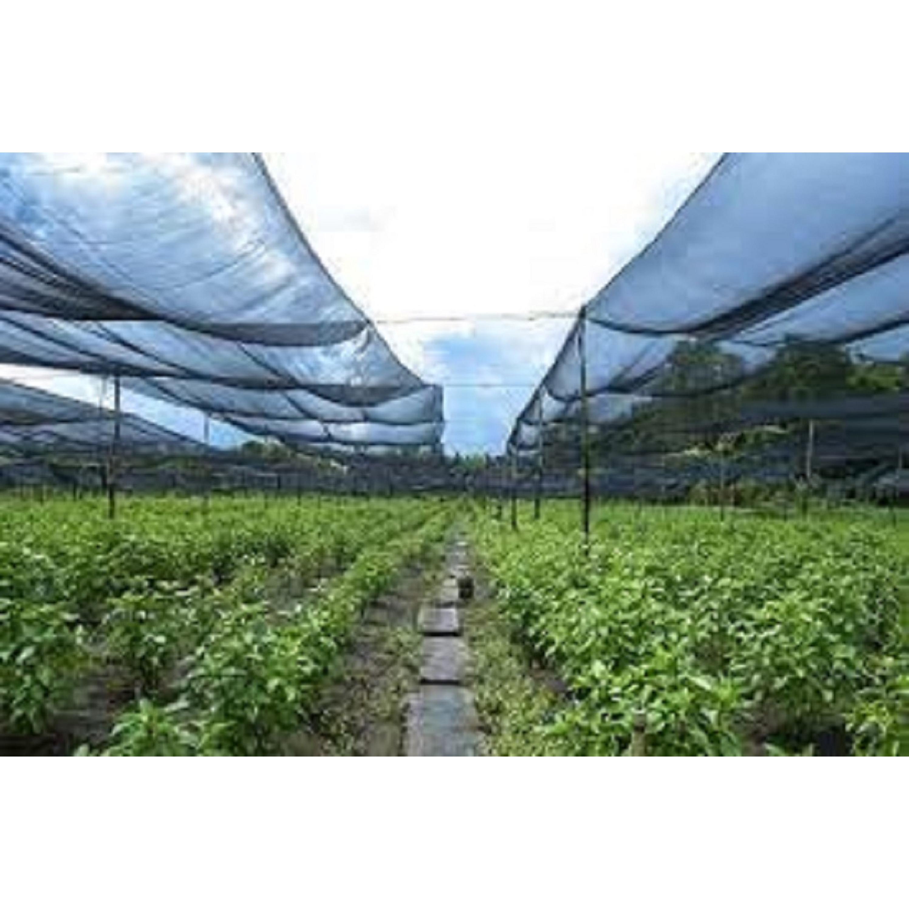 Lưới Che Nắng Thái Lan 70% - Khổ Rộng m