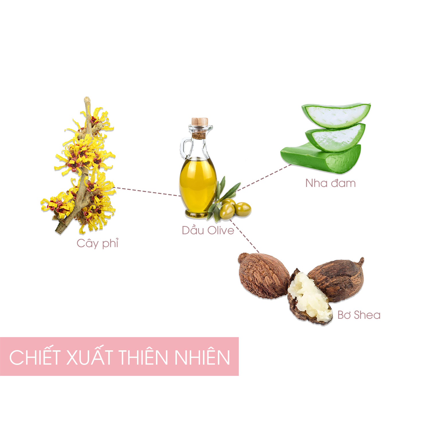 Gel khử thâm Tẩy da chết Làm hồng Môi Cenota Baby Lip