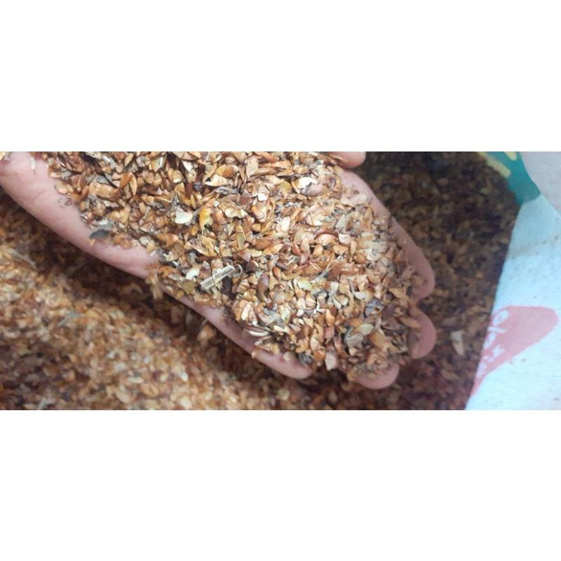 250 gram hạt bằng lăng tím giống