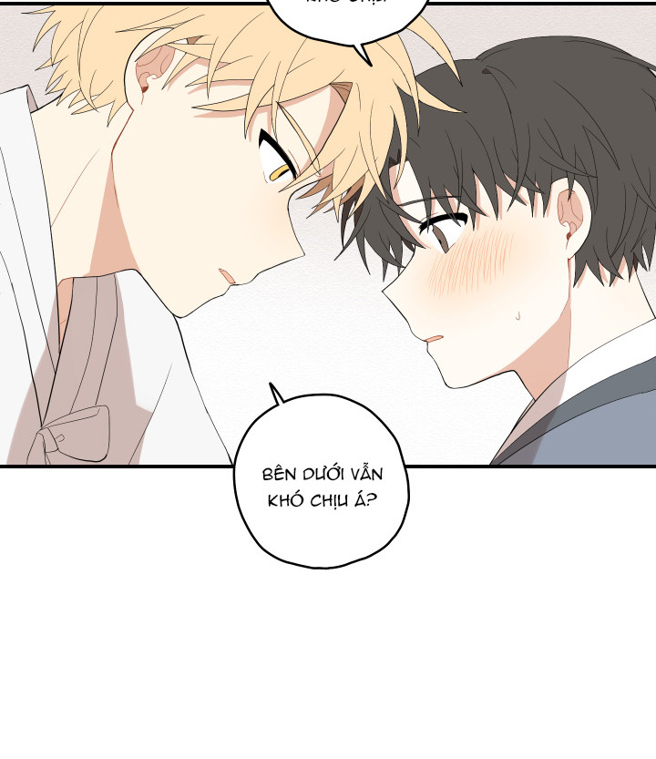 đường hoa liên kiều rơi chapter 19 20