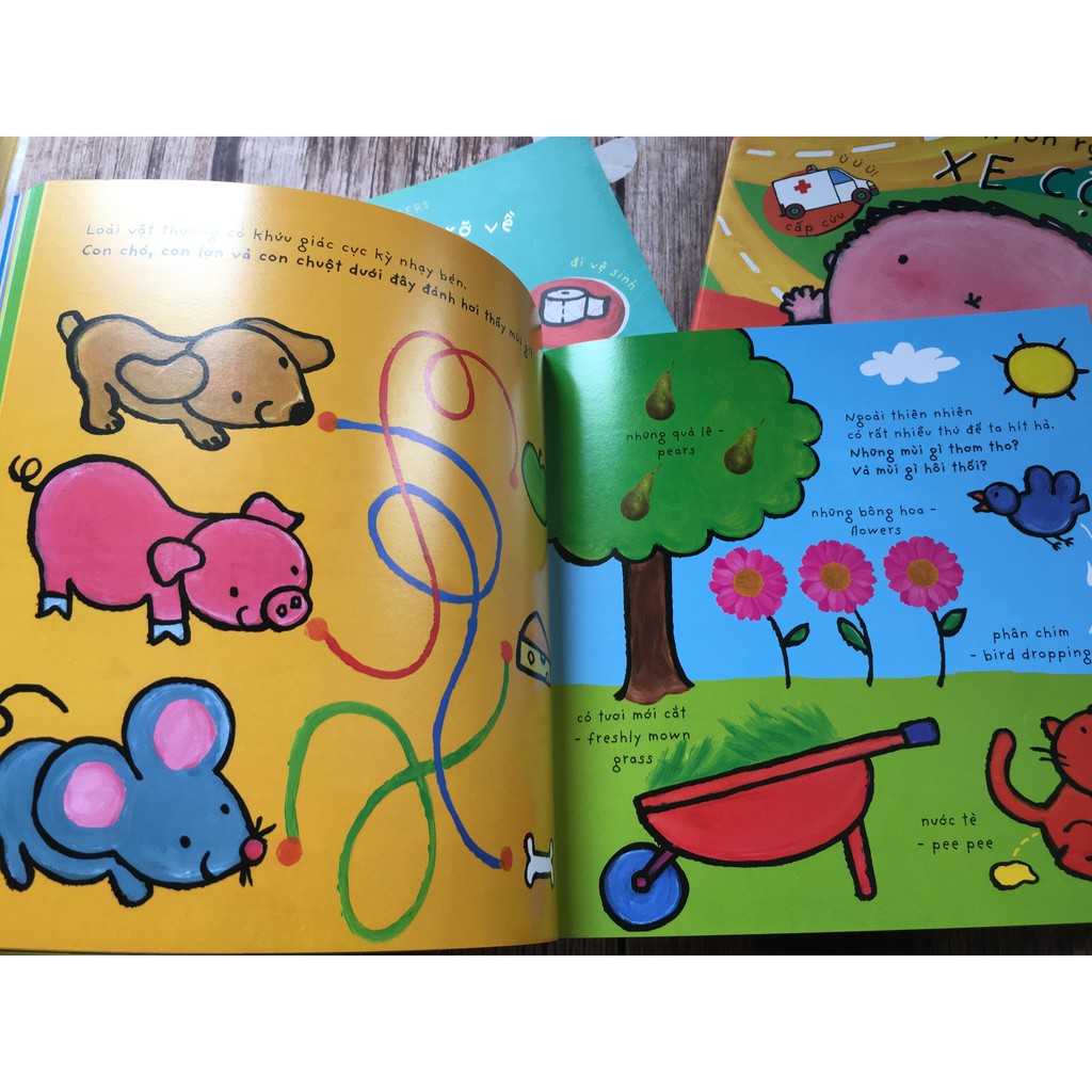 Cuốn Sách Lớn Rực Rỡ Về Giác Quan