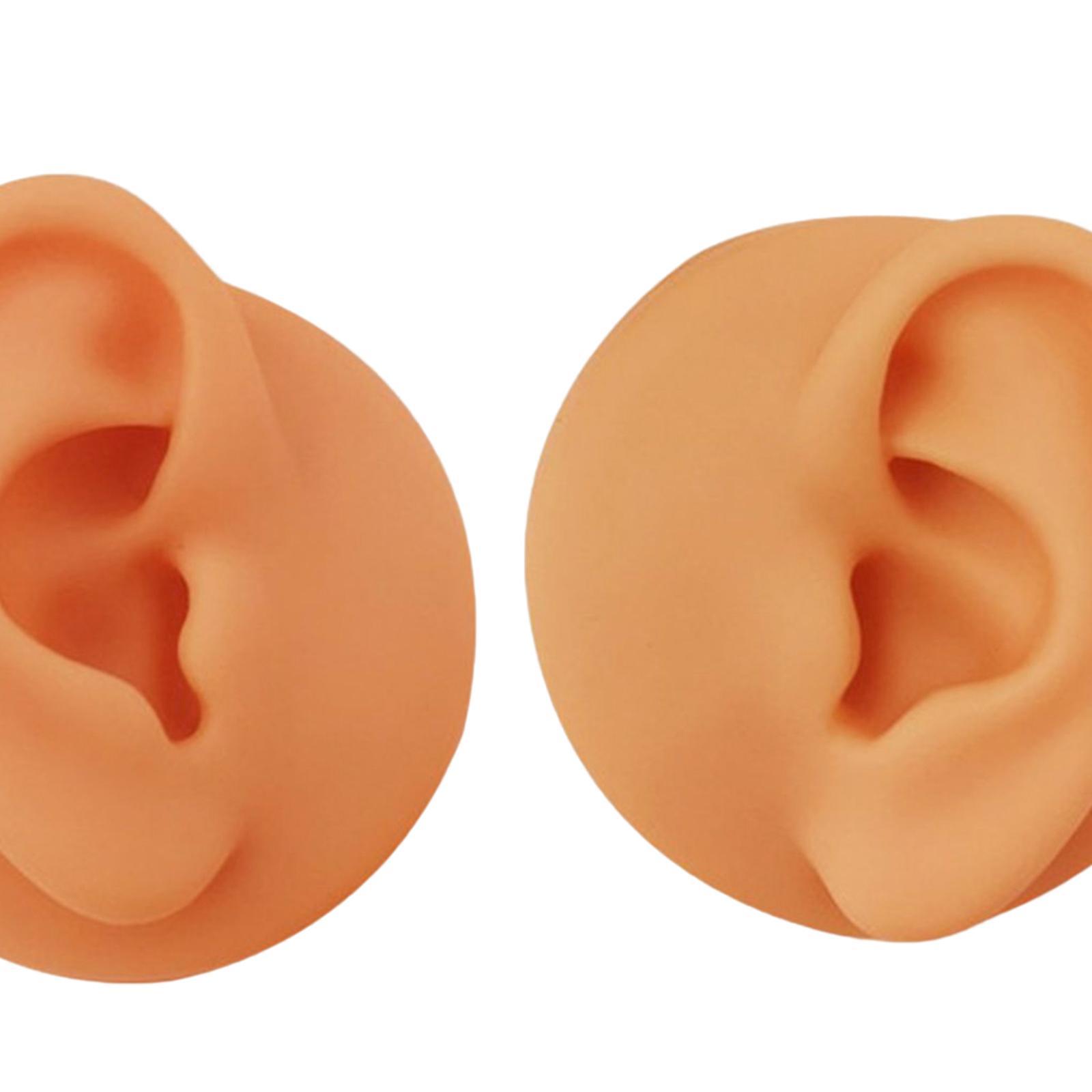 Soft Silicone Ear Model Simulated Ear Models Rubber Washable for Shop Brown