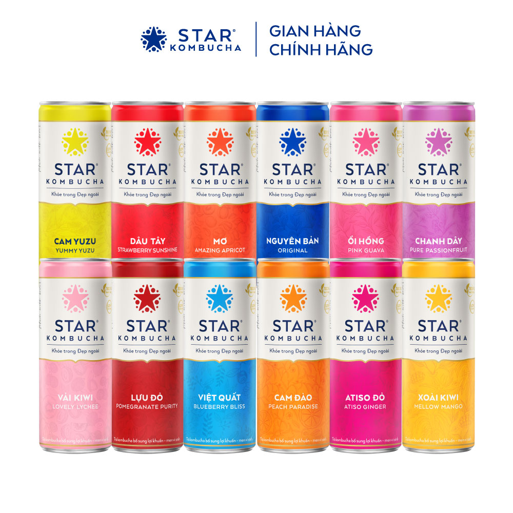 Combo 2 thùng trà lên men Star Kombucha mix 12 vị