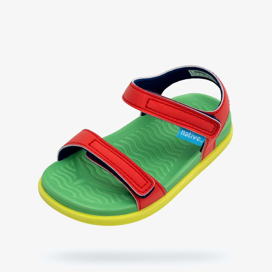 Giày Sandals Trẻ Em Unisex Native Charley Sugarlite Junior - Đỏ/ Xanh lá cây