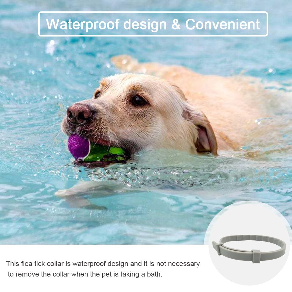 Vòng Cổ Silicon Chống Côn Trùng cho chó mèo trong 8 Tháng,bền, nhẹ chống thấm nước