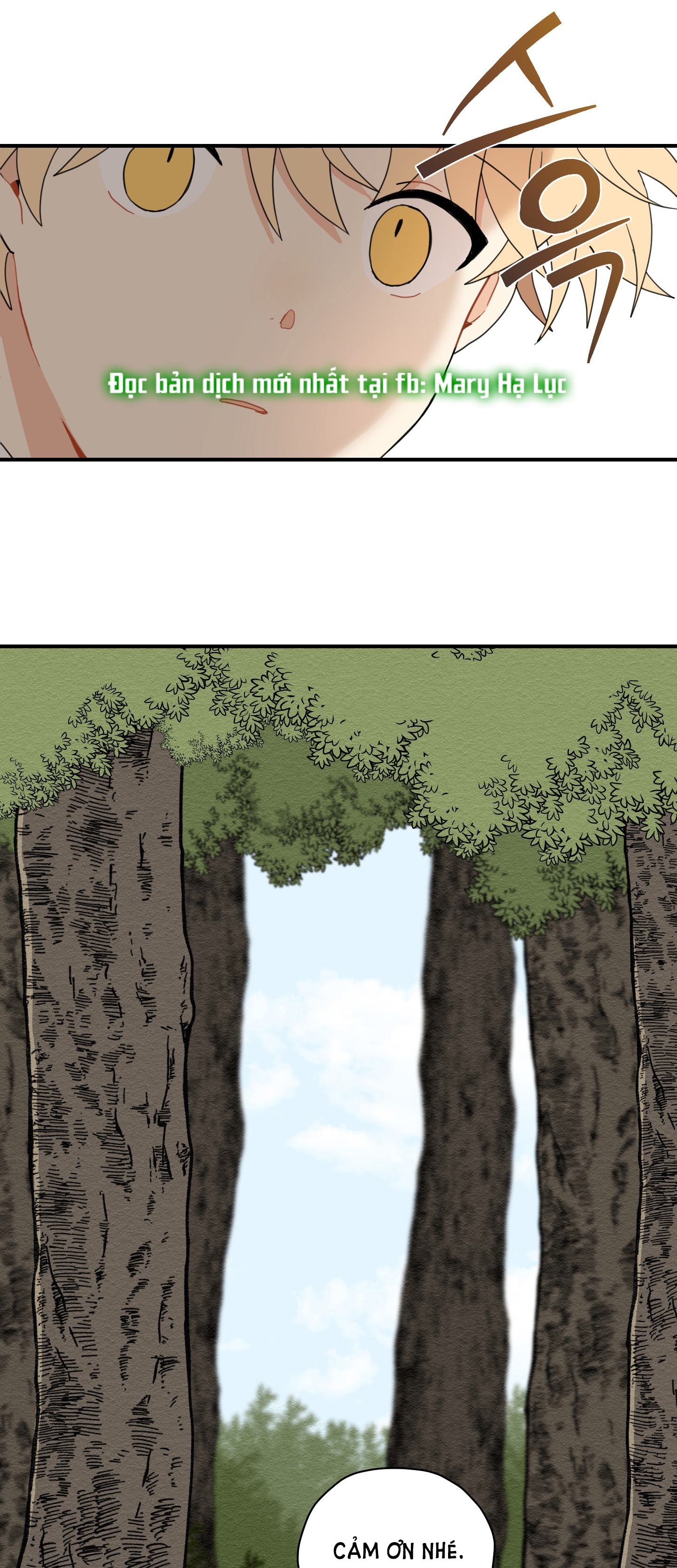 [18+] con đường hoa chuông vàng - liên kiều rơi chốn này chapter 5.1 17