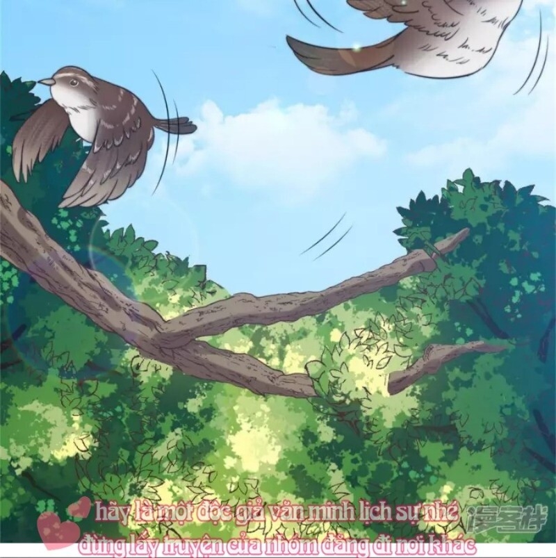 tổng tài, tránh xa tôi ra chapter 35 16