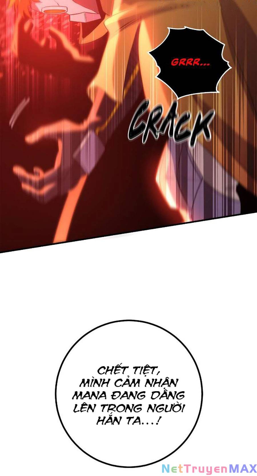 tôi là thợ săn có sức mạnh của 99 vạn tiền kiếp chapter 96 62