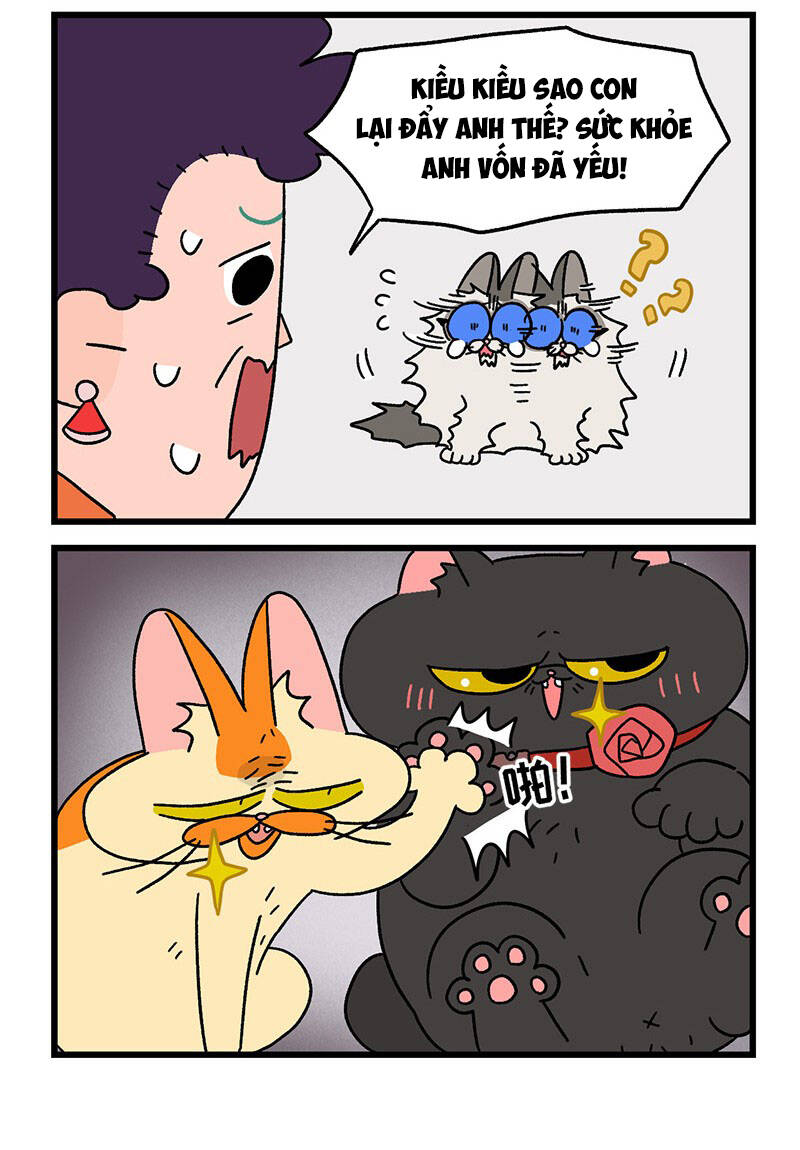 a mãn và mạch trà chapter 35.1 6