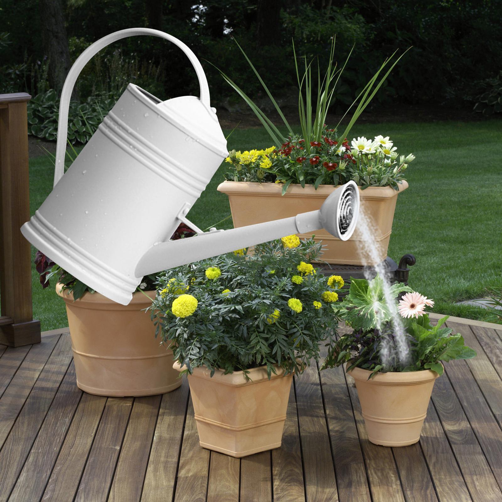 Watering Can Flower Watering Sprinkler Head for Indoor Garden