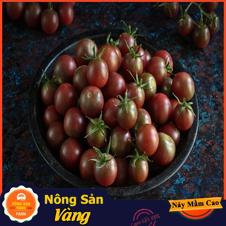 Hạt giống Cà Chua Bi Đen Chuẩn F1 - Nông Sản Vàng