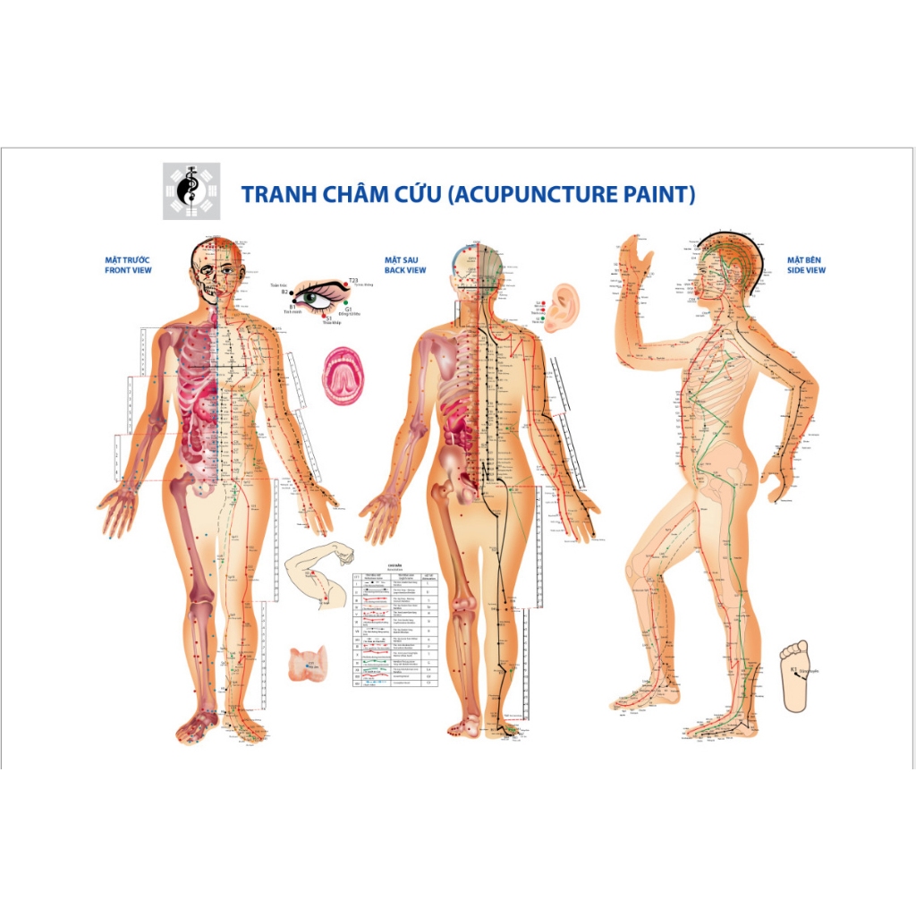 (HCM)Tranh dán tường dưỡng sinh tâm thể,tranh châm cứu,tranh spa có sẵn keo