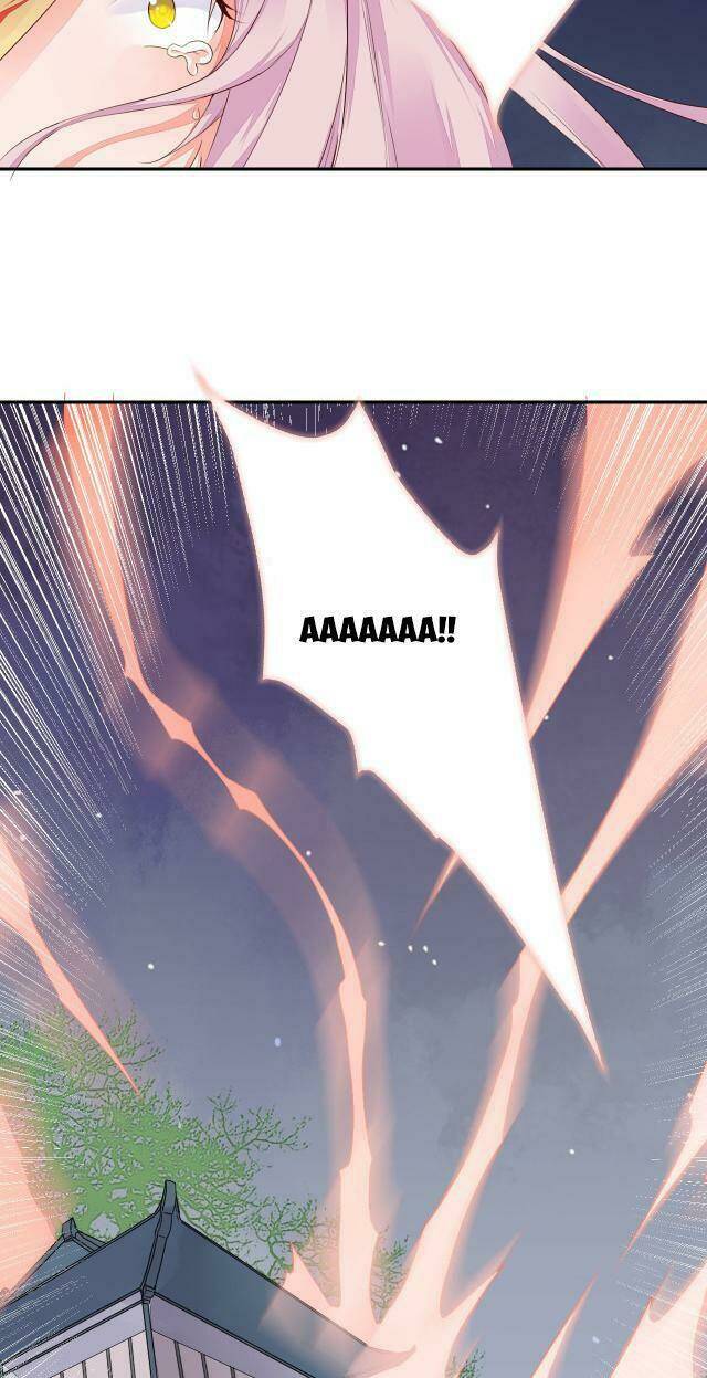 đốt đào hoa chapter 47 4