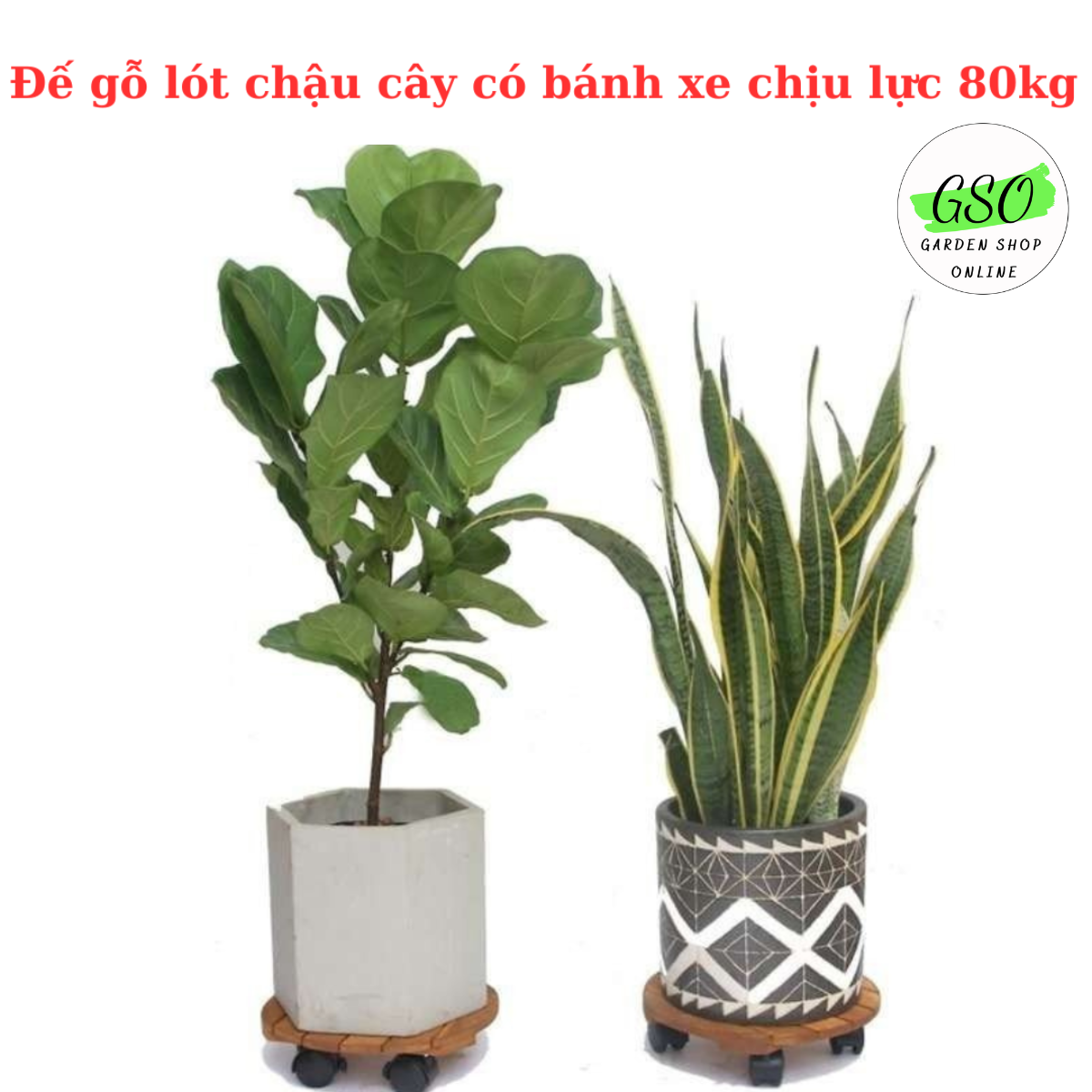 Đế gỗ lót chậu cây có bánh xe chịu lực 80kg