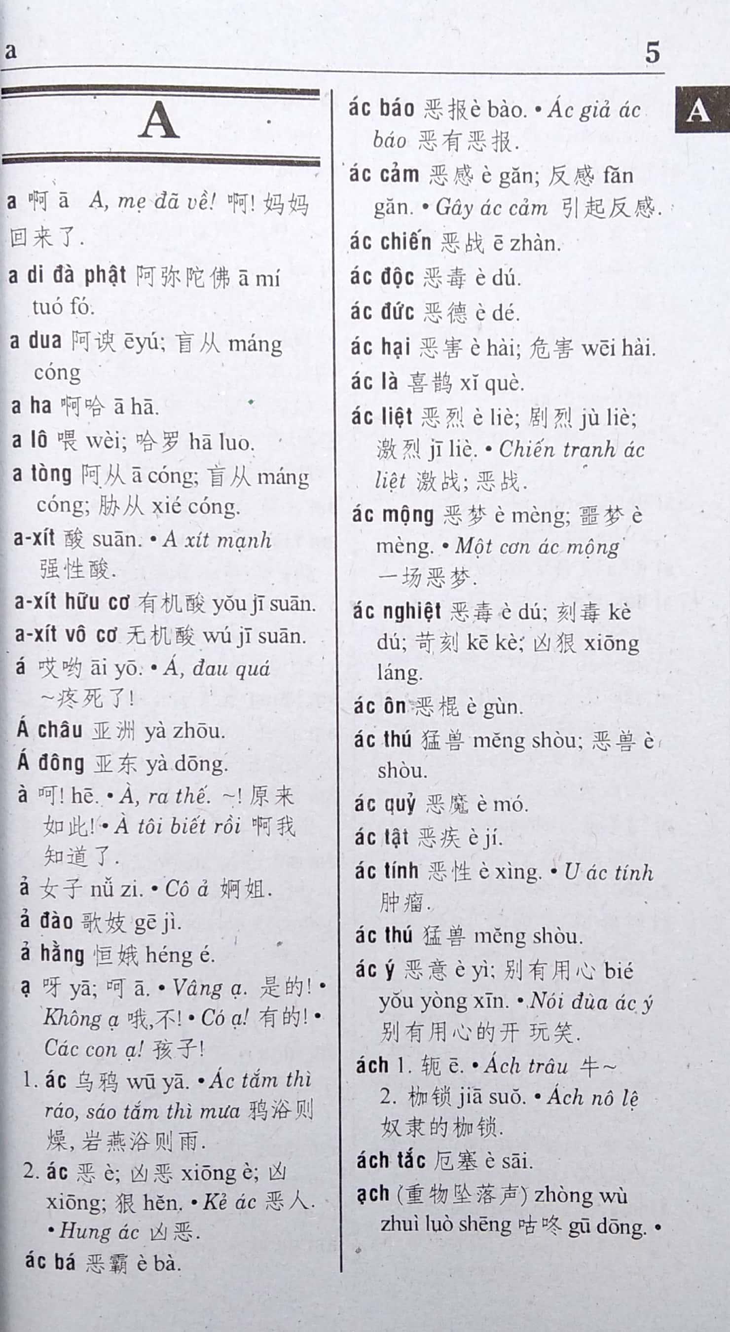 Từ Điển Việt - Hoa