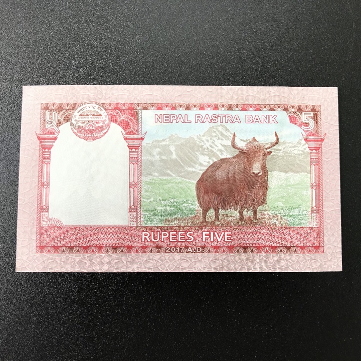 Combo 20 tờ lưu niệm hình con Trâu của Nepal, dùng để sưu tầm, lưu niệm, làm tiền lì xì độc lạ, may mắn, ý nghĩa