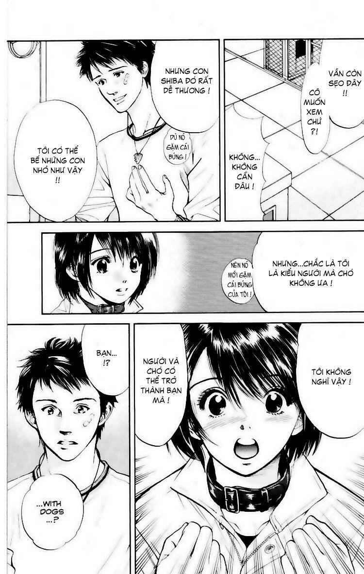 cô nàng yêu chó chapter 18 17