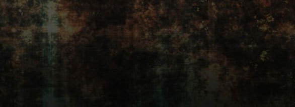 tôi trở thành vợ cũ của nam chính chapter 4.1 9