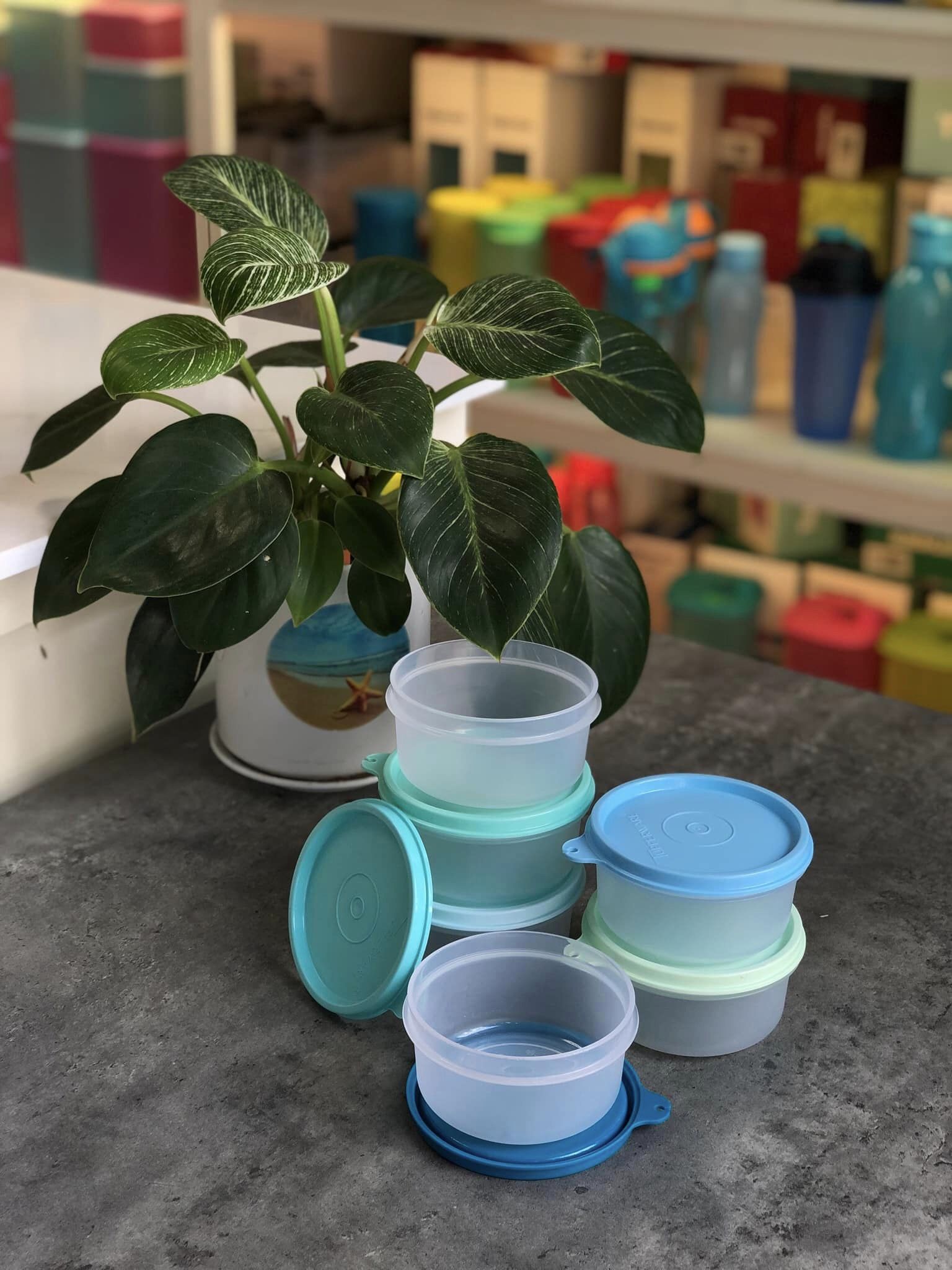Bộ hộp BQTP Pastel Small Server 200ml TUPPERWARE HÀNG CHÍNH HÃNG