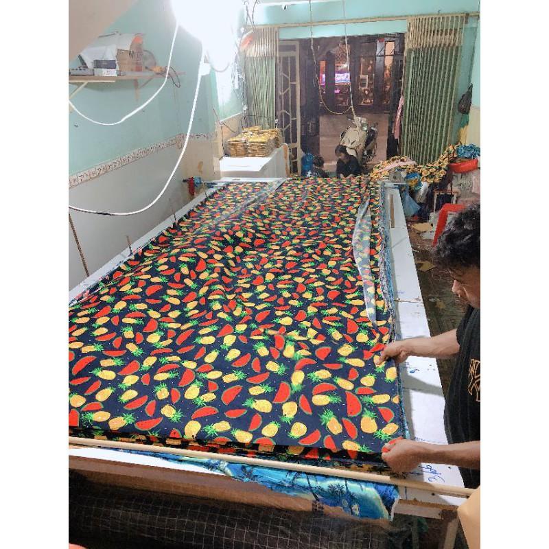 Đồng phục đi biển, gia đình trái cây đủ size