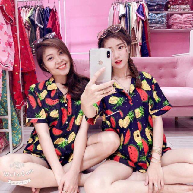 BỘ TRÁI CÂY DƯA DỨA