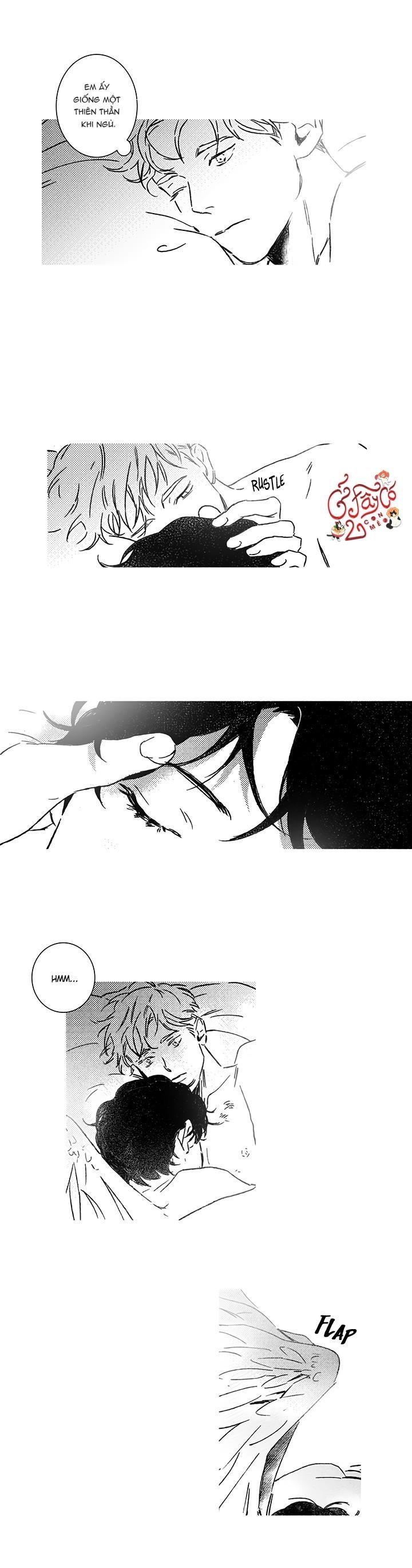 xin hãy yêu tôi chapter 6 2