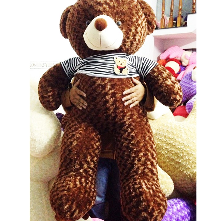 Gấu bông Teddy ICHIGO khổ vải 1m2  màu nâu socola