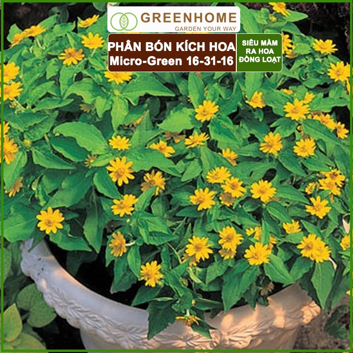 Phân Bón Ra Hoa, Greenhome, Micro Green, Gói 10gr, Tạo Mầm Hoa Cực Mạnh, Thúc Đẩy Ra Hoa Đồng Loạt, Hoa To, Lâu Tàn
