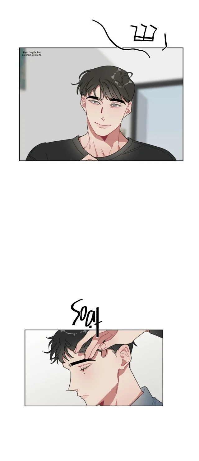 ngọt và lạnh chapter 4.5 1