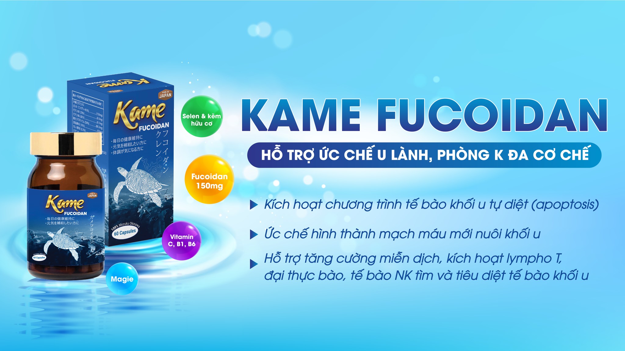 Kame Fucoidan hộp 60 viên - Hỗ trợ ung bướu