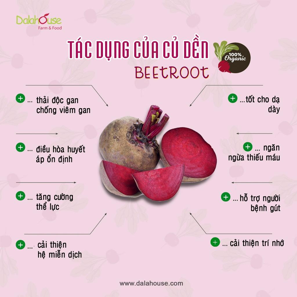 Combo 2 hộp bột củ dền nguyên chất sấy lạnh Dalahouse 60gr organic giúp bổ máu