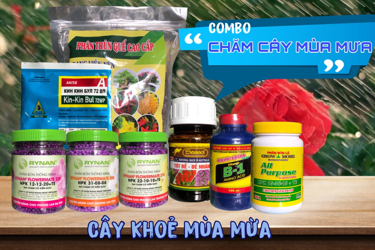 COMBO MÙA MƯA “ĐÁNH BAY” NỖI LO CHO CÂY