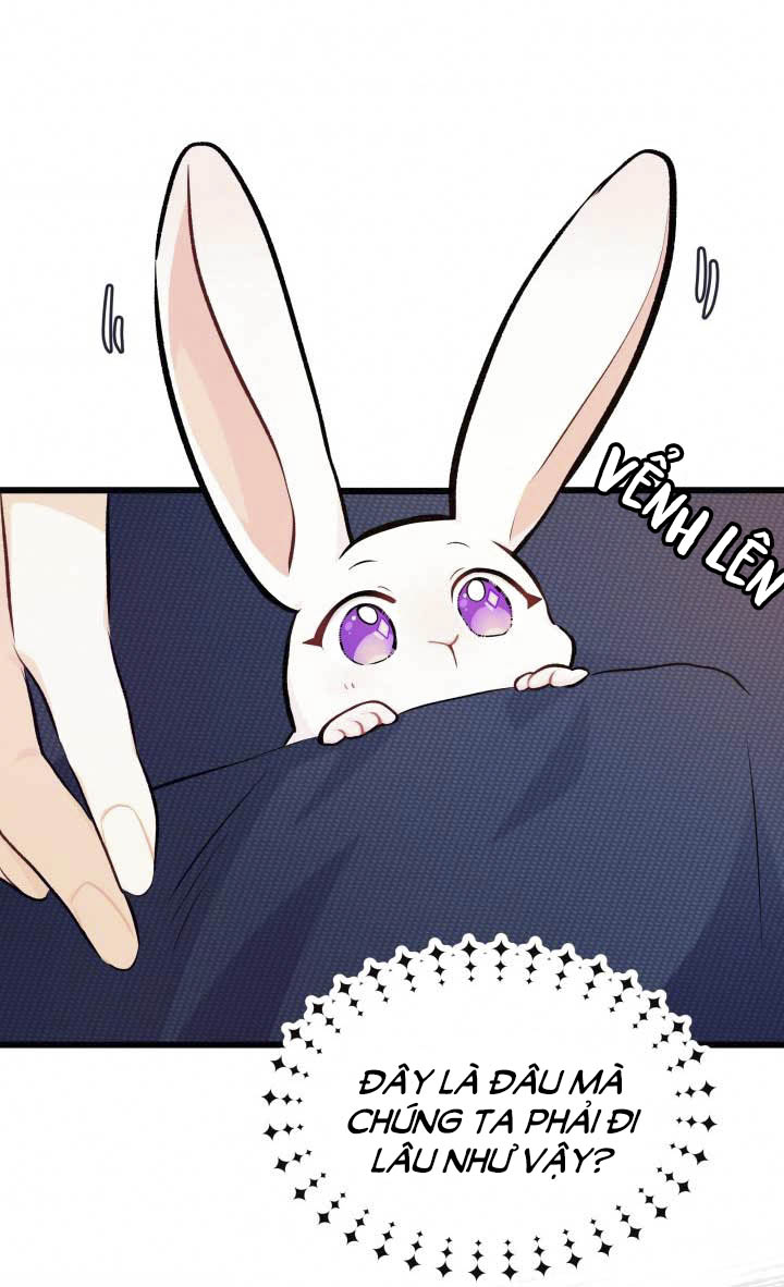 mối liên kết giữa báo đen và bé thỏ chapter 6 57