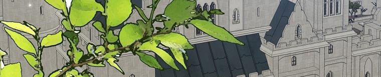 xin hãy kết hôn với em chapter 38 497