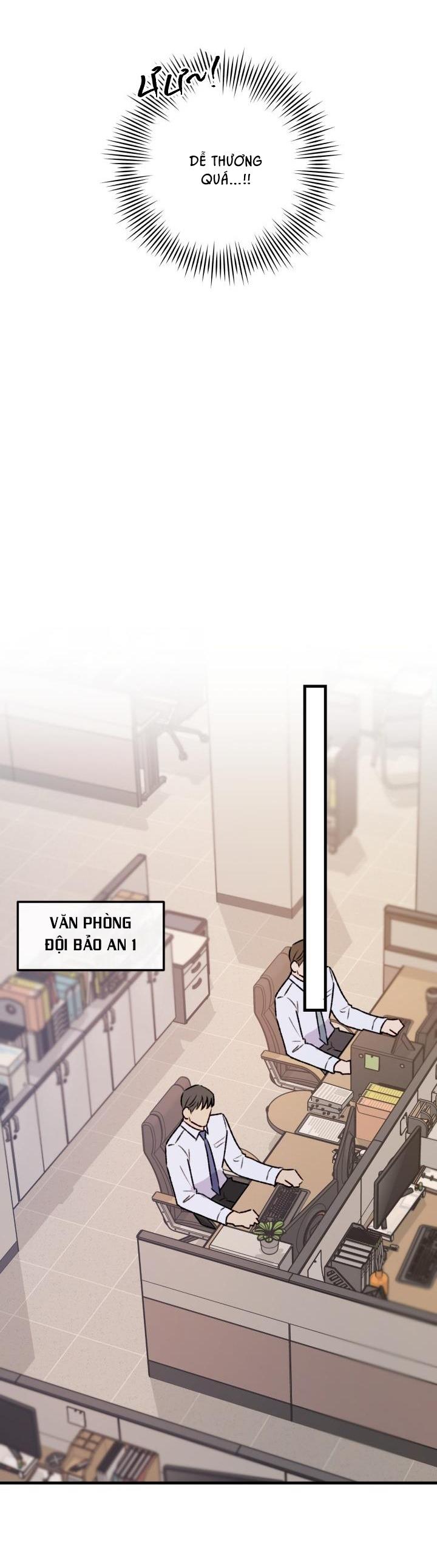 cảnh báo bảo mật chapter 12 15