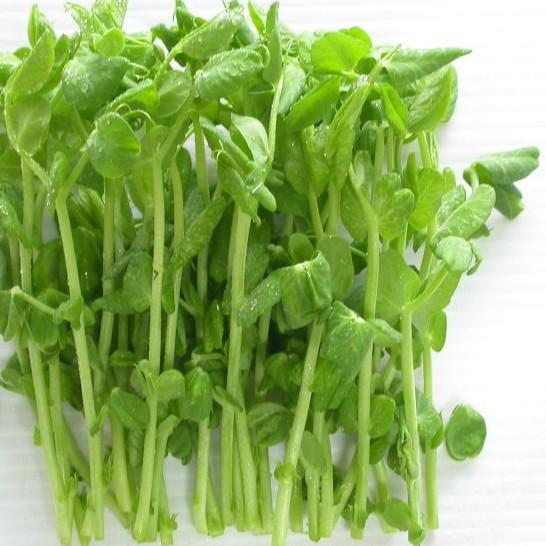 Hạt Mầm đậu Hà Lan – 50gram/Gói