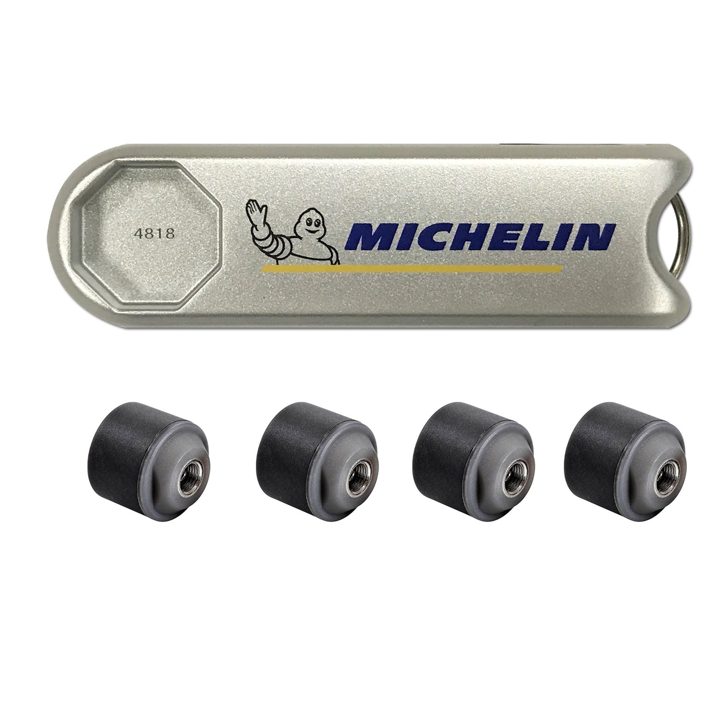 Hệ thống cảm biến đo áp suất lốp cho ô tô Michelin 4810 - Hàng chính hãng
