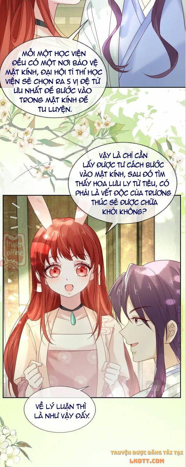 hắc hóa nam chính trực tuyến nuôi thỏ chapter 48 21