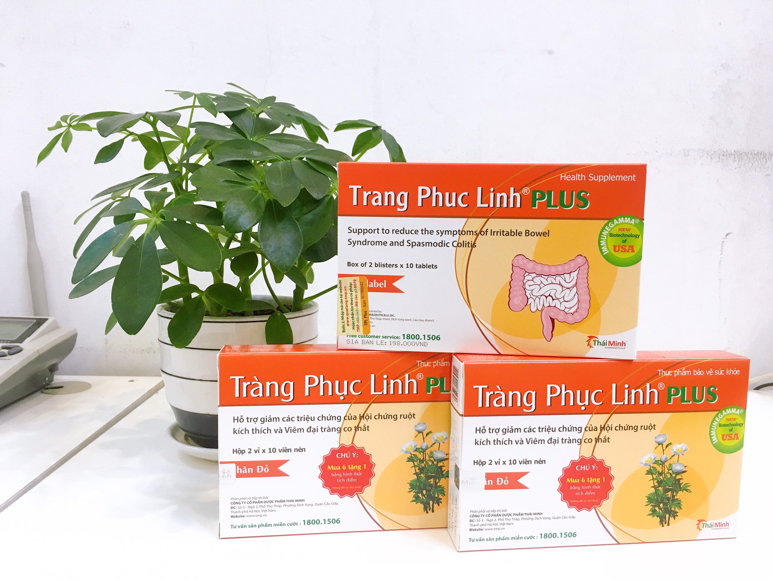 Combo 3 hộp Tràng Phục Linh Plus (nhãn đỏ) 