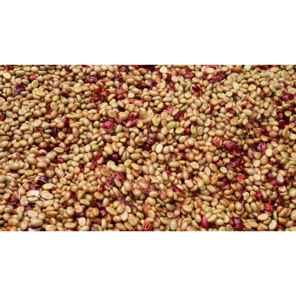 Robusta Honey - Cà phê chất lượng cao, hương thơm ngọt ngào - Cà phê pha phin/ pha máy |500gr|