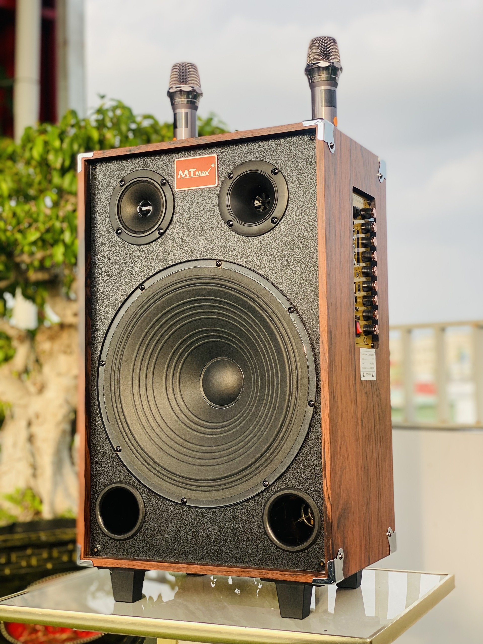 Loa Xách Tay Karaoke Nghe Nhạc T3 Pro Bass 30 – Công Suất 500W, Kết Nối Bluetooth, Kèm  Micro Không Dây Hàng Nhập Khẩu