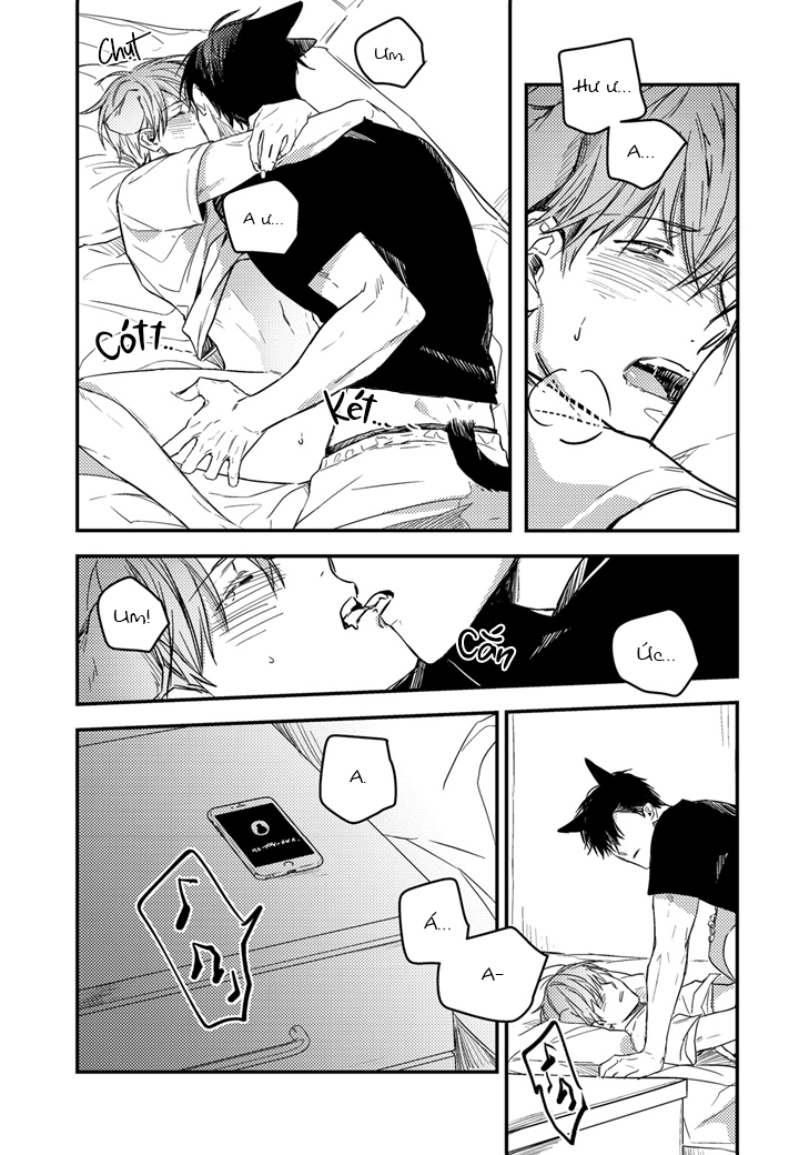 phản xạ có điều kiện chapter 13 20