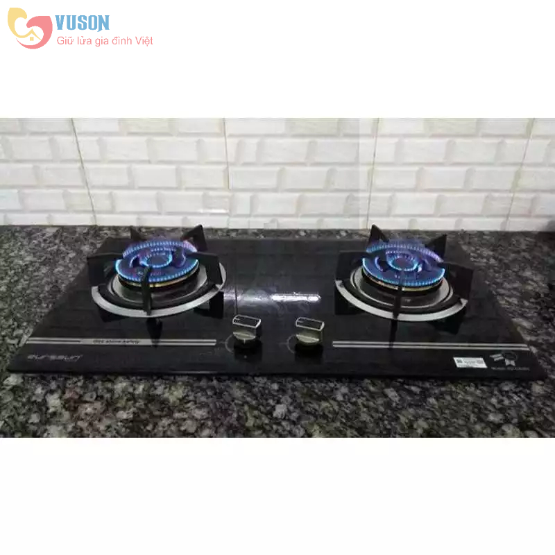 Bếp gas âm Eurosun EU-GA281 - Hàng chính hãng