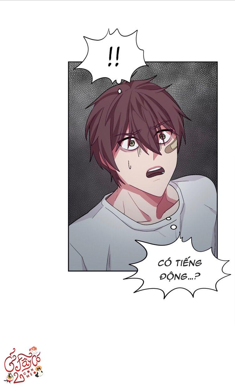 hãy vâng lời anh chapter 13 54