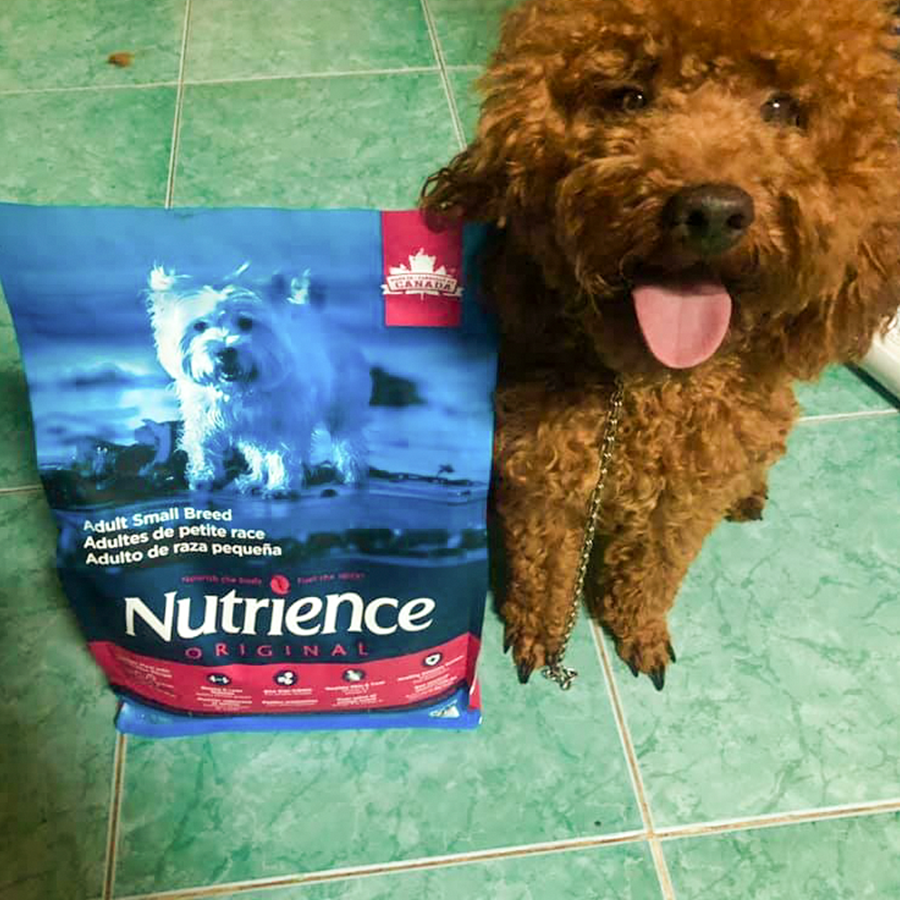 Thức Ăn Cho Chó Nhỏ Trưởng Thành Nutrience Infusion Bao 2,27kg - Thịt Gà, Rau Củ Và Trái Cây Tự Nhiên