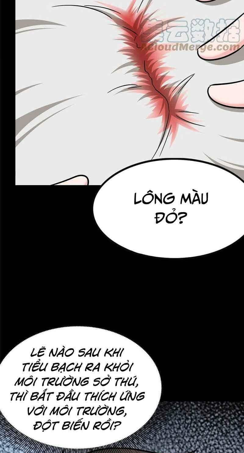 bạn gái virus của tôi chapter 378 29