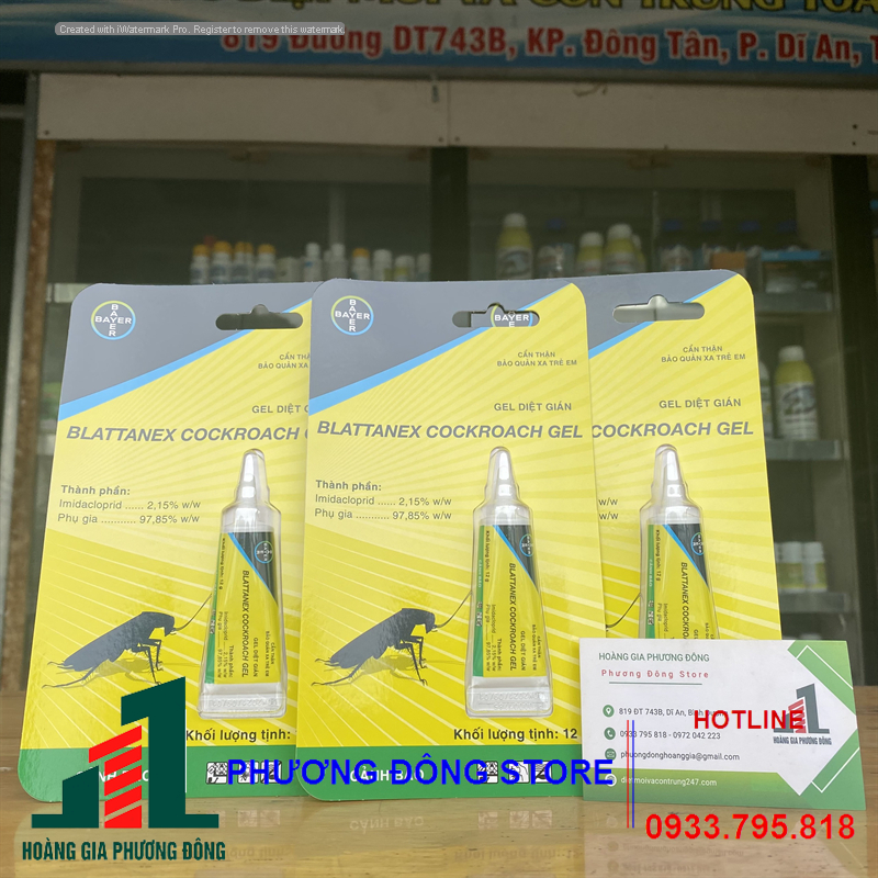 Thuốc diệt gián Blattanex Cockroach Gel - 12g gián